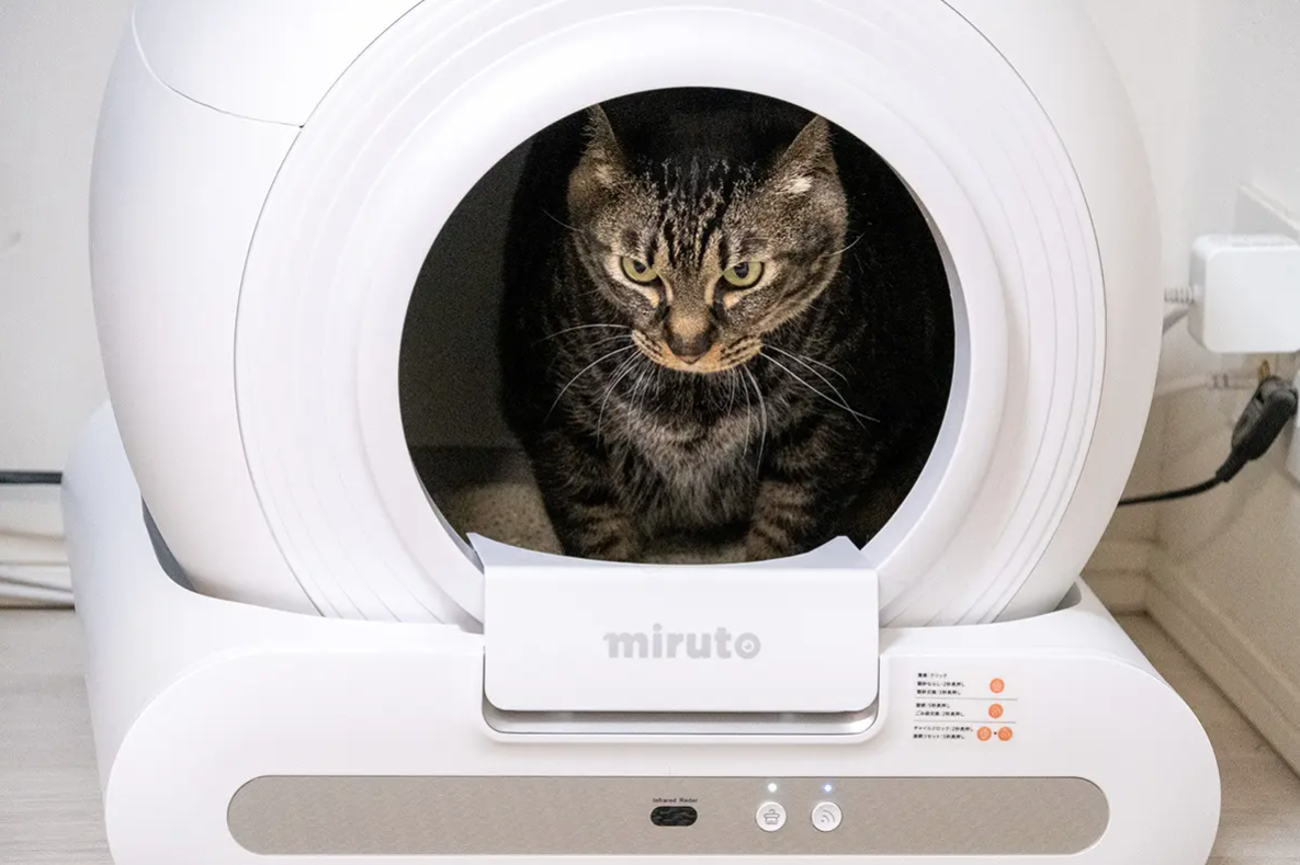 NEWS | miruto公式