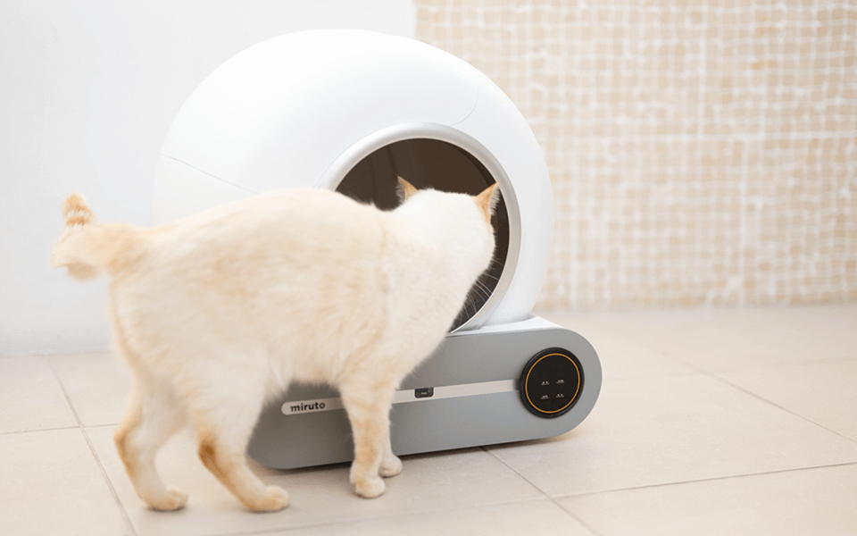 専用ねこ砂(7L×4袋) 購入ページ | miruto公式 専用ねこ砂(7L×4袋) 購入ページ | miruto公式