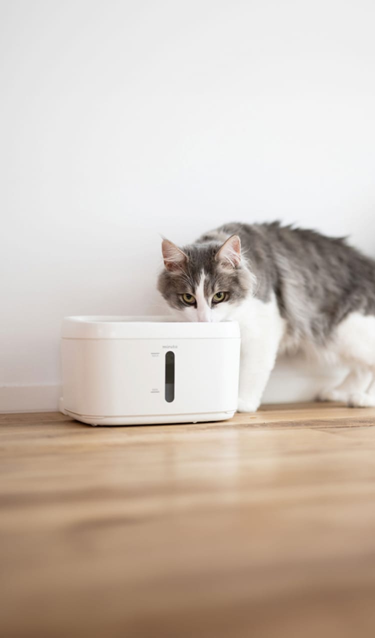 モニタリング自動給水器 | miruto公式