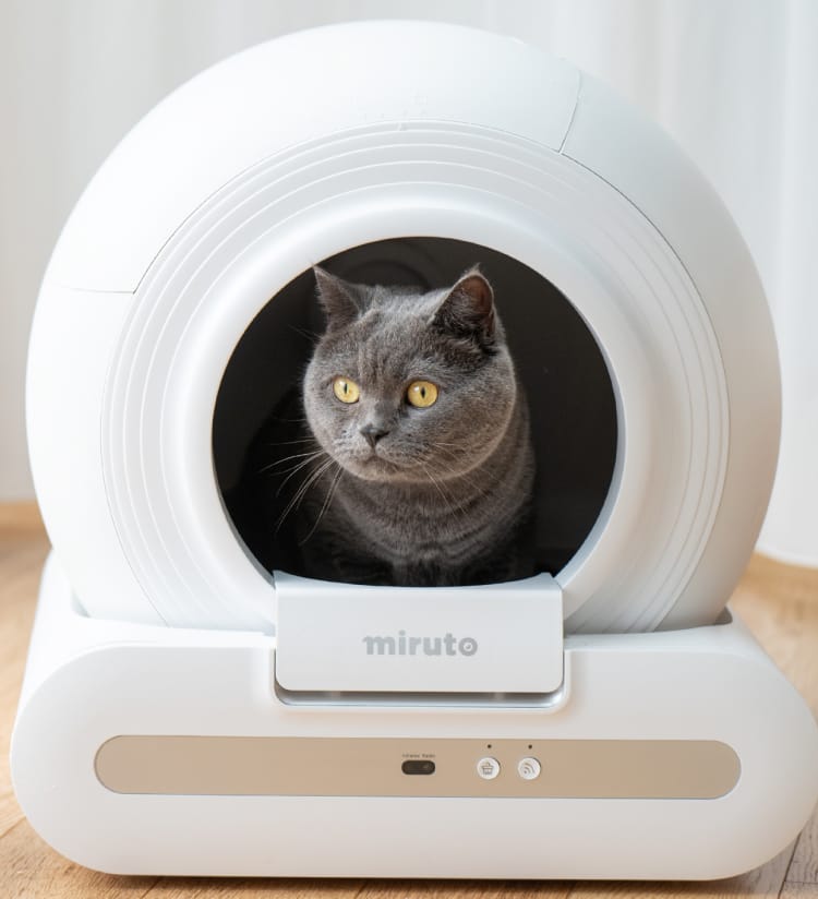 PRODUCTS | miruto公式
